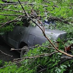 � ������������ ������ ����� �� ������ �� ����� (�����)