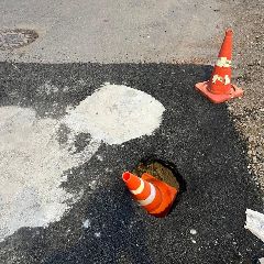 �������������� ���� ������� ������������� ������� � ��������, ������������ ����� ������� ���������� (����)