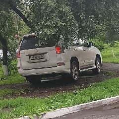 � ������������ ����� � ��������� ���������� �������� ����� ��������� �����, �������������� � ���������� ���� (����)