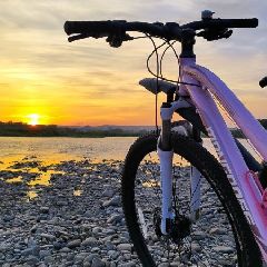�������������� ������ ������ � ������� ����������� ���������� (����)