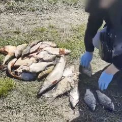 � �������� �� ����� ������������ ��������� ����������� (����, �����)