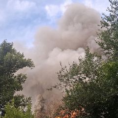 � ������������ ������� ������ ������-��������� ��������� (����)