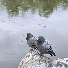 ������� ������ � �������� ����� �����, ������� �������� ��������� �����