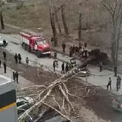 ���� �������� �� ������� ������ ������������ �������� � ������������� ����������� �� ������������ ����