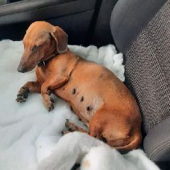 � ������ ��� ������� ����� ����� (����)