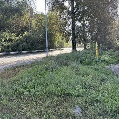 ������ ���� ����������� ����� ����������� �������� ��������� ������������� ��������� (����)