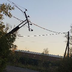������������� ������ ������ �� �� ������, �������� �� �������� ��� ����������� (����)