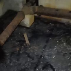 ������ ����������� � ������ ��������� �������� ���������, �� ��� ������ ��������� (�����)