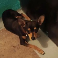 �� ������� � ������� �������� ������ � �������� (����)