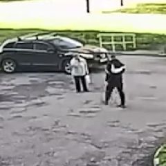 � ������������ ����������� ��������� �������-��������� �� ������������, ����������� � ����������� 1,4 ��� ������ (�����)��