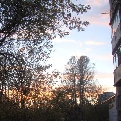 � �������� ��������� ������������ ����������� � ���������� ��������