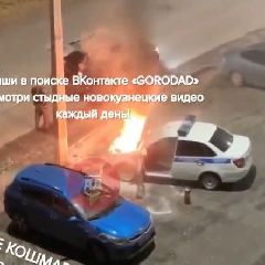 � ������������ �������� ���� ���������������� ���������, ��������� ���������� ���������� � �������
