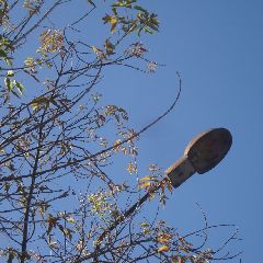 � �������� ��������� �������� �����