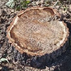 ������� ����� �� ������ � ����������� ��������� ��������, ����� ������� ������� ����� ������