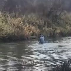 � �������� ������ �������� ������ ������, ������� ���� ����� � ��������� � ����, �� ��� �������� (����, �����)