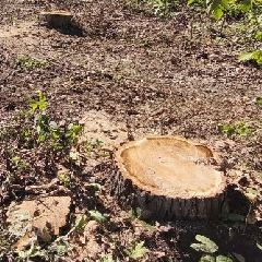 В ночь со вторника на среду в Новокузнецке снова будут перекрывать Горноспасательную и Димитрова В ночь со вторника на среду в Новокузнецке снова будут перекрывать Горноспасательную и Димитрова
