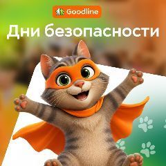 ������ ������, ������ ��������: ��� ������ ����� ������������ ��� �����������
